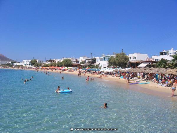 Dolphin Studios Agia Anna  Exteriér fotografie
