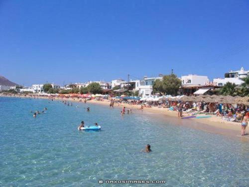 Dolphin Studios Agia Anna  Exteriér fotografie
